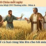 Chúa Nhật XVI Thường niên – Năm A
