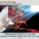 Thứ Sáu Tuần XIV Thường Niên