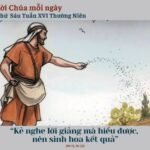 Thứ Sáu Tuần XVI Thường Niên