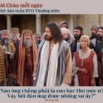 Thứ Sáu Tuần XVII Thường Niên