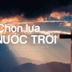 Chọn lựa Nước Trời – Chúa Nhật XVII Thường Niên – Năm A