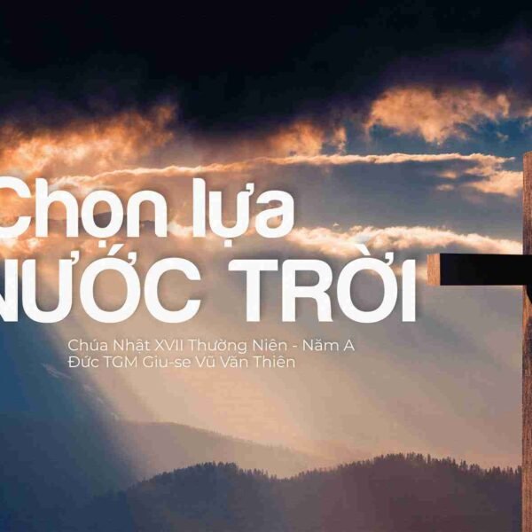 Chọn lựa Nước Trời – Chúa Nhật XVII…