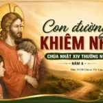 Con đường khiêm nhu – Chúa nhật XIV thường niên – Năm A