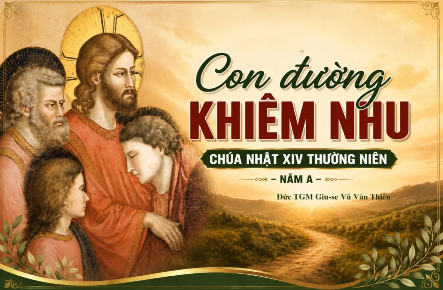 Con đường khiêm nhu – Chúa nhật XIV…