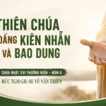 Thiên Chúa là Đấng kiên nhẫn và bao dung – Chúa Nhật XVI Thường Niên – Năm A