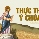 Thực thi ý Chúa – Chúa Nhật XV Thường Niên – Năm A