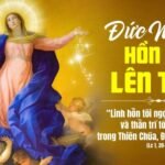 Ngày 15/08: Đức Mẹ hồn xác về trời