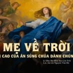 Mẹ về Trời, đỉnh cao của ân sủng Chúa dành chúng ta – Lễ Đức Ma-ri-a hồn xác lên trời