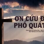 Ơn Cứu độ phổ quát – Chúa Nhật XX Thường Niên – Năm A